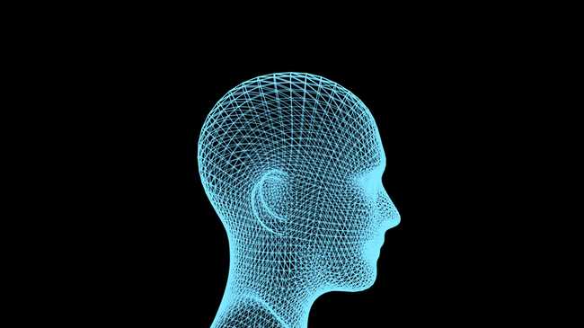 3d face mesh